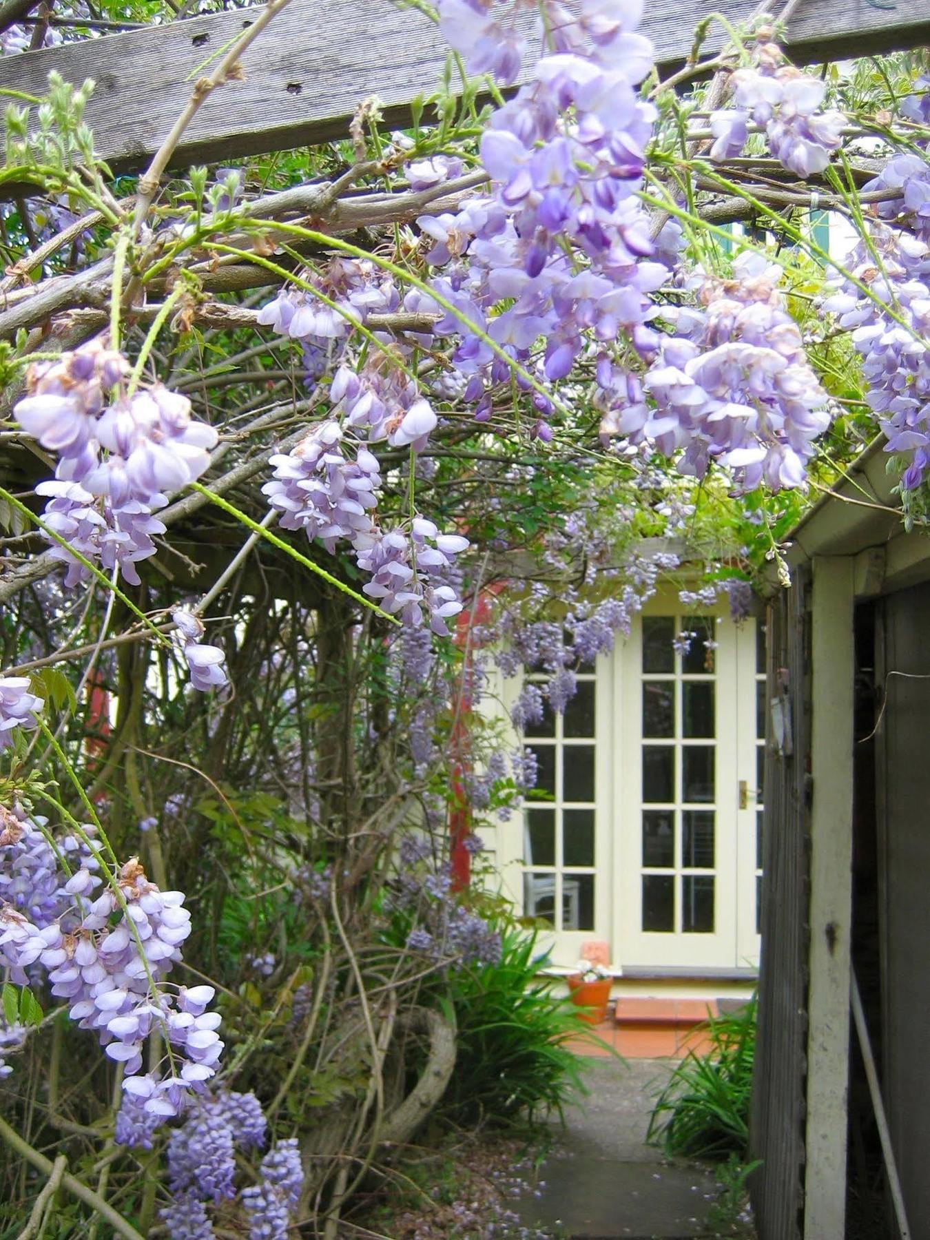 Crabtree House Bed and Breakfast Grove Exteriör bild