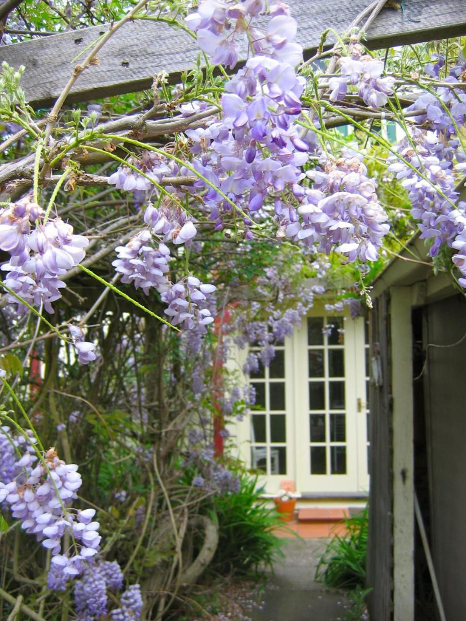 Crabtree House Bed and Breakfast Grove Exteriör bild